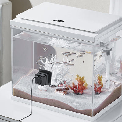 Clear aquarium with white lid, black camera attached to the glass, white coral, red plants, and small fish inside.