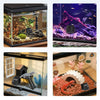 Four aquarium and terrarium tanks each with a black cube-shaped camera attached to the glass front.