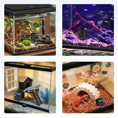 Four aquarium and terrarium tanks each with a black cube-shaped camera attached to the glass front.