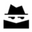 logo of Hidden Cameras, Spy Cams, Spy Gear - The Spy Store New Zealand